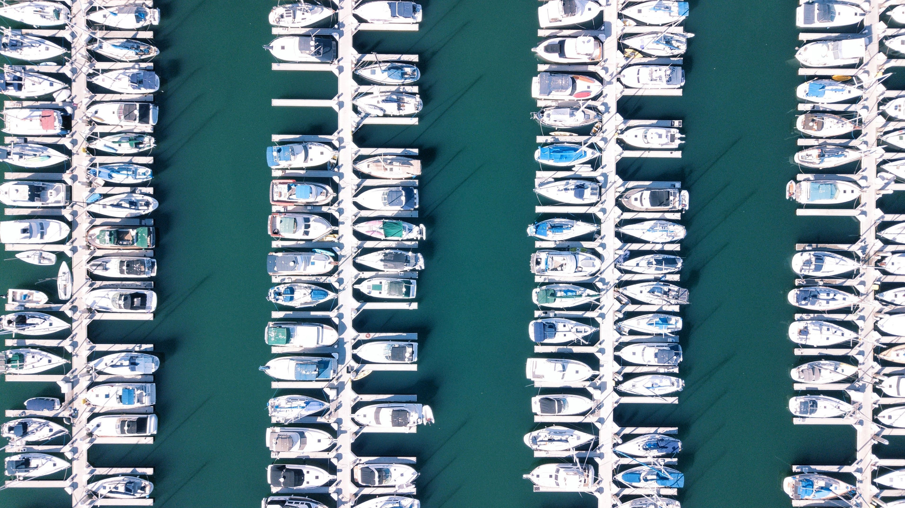 David Younan, DDS | Oral Exams